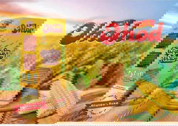 علبه بسكويت ساده Image 1 Preview