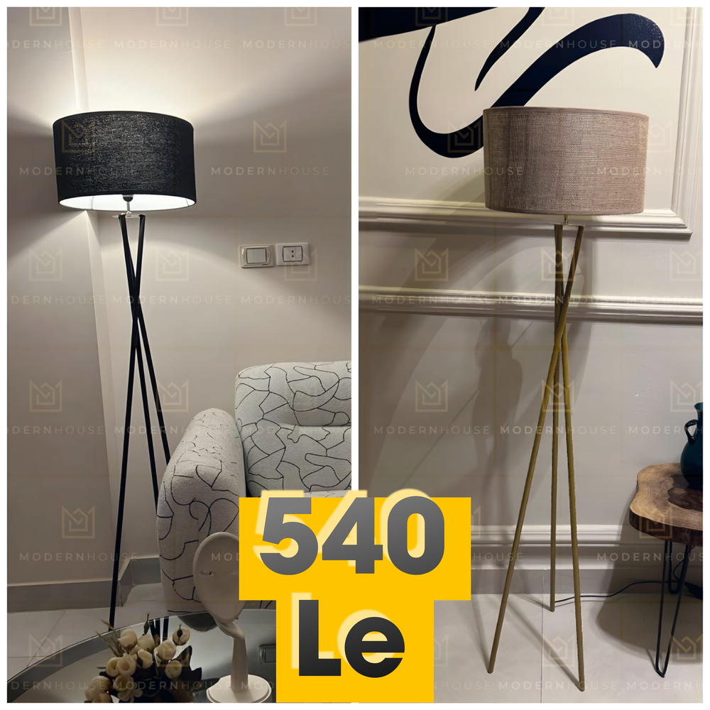 Model X Floor Lamp Preview Image