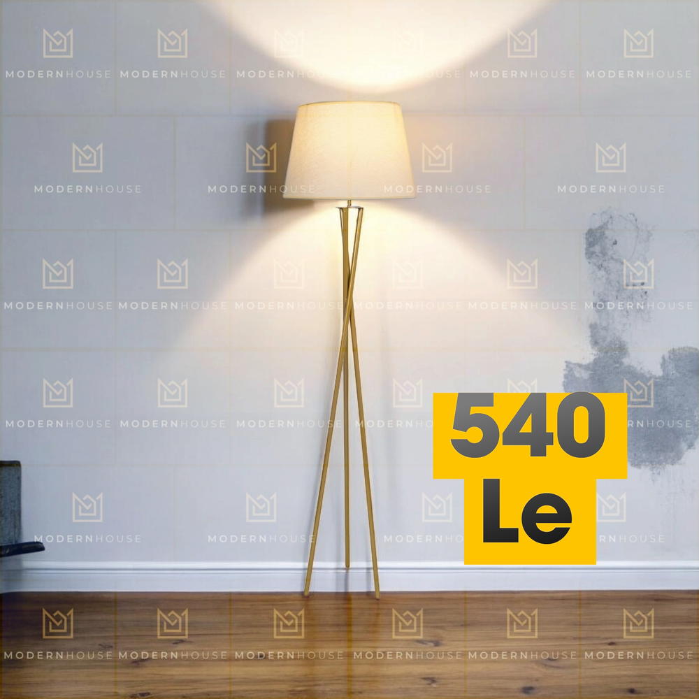Model X (S) Floor Lamp Preview Image