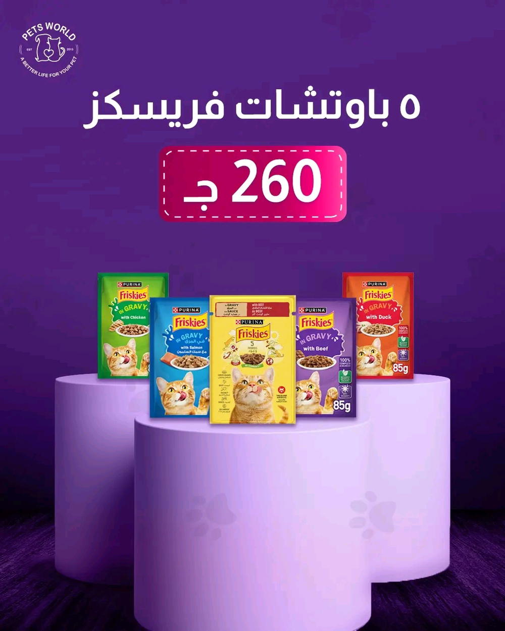 5 ظرف فريسكاس Preview Image
