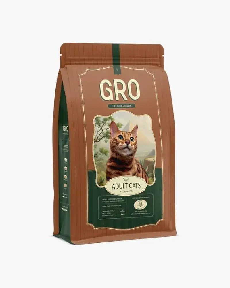 دراي فود gro ١ك Preview Image
