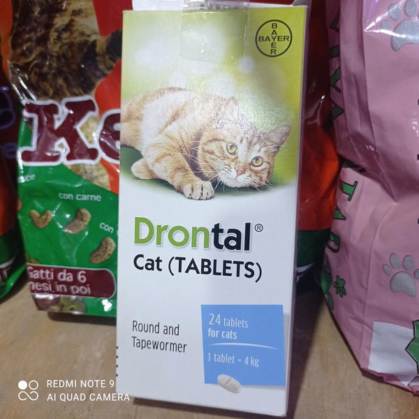 دورنتال قطط برشام ديدان  Image 1 Preview