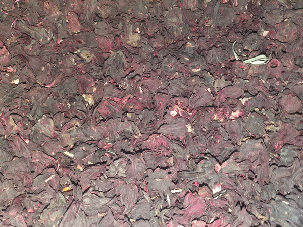 كركدية لوزية Image 1 Preview