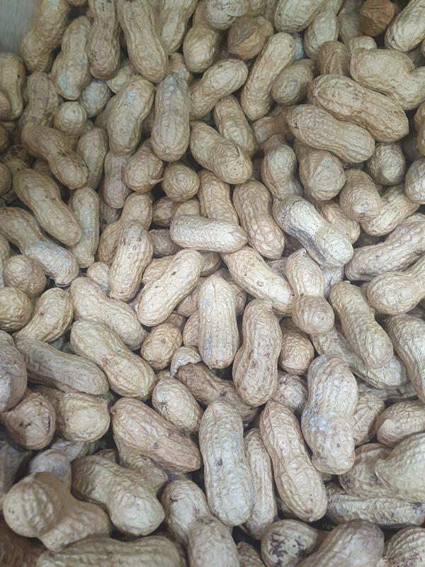 سوداني بقشرة بدون ملح Image 1 Preview
