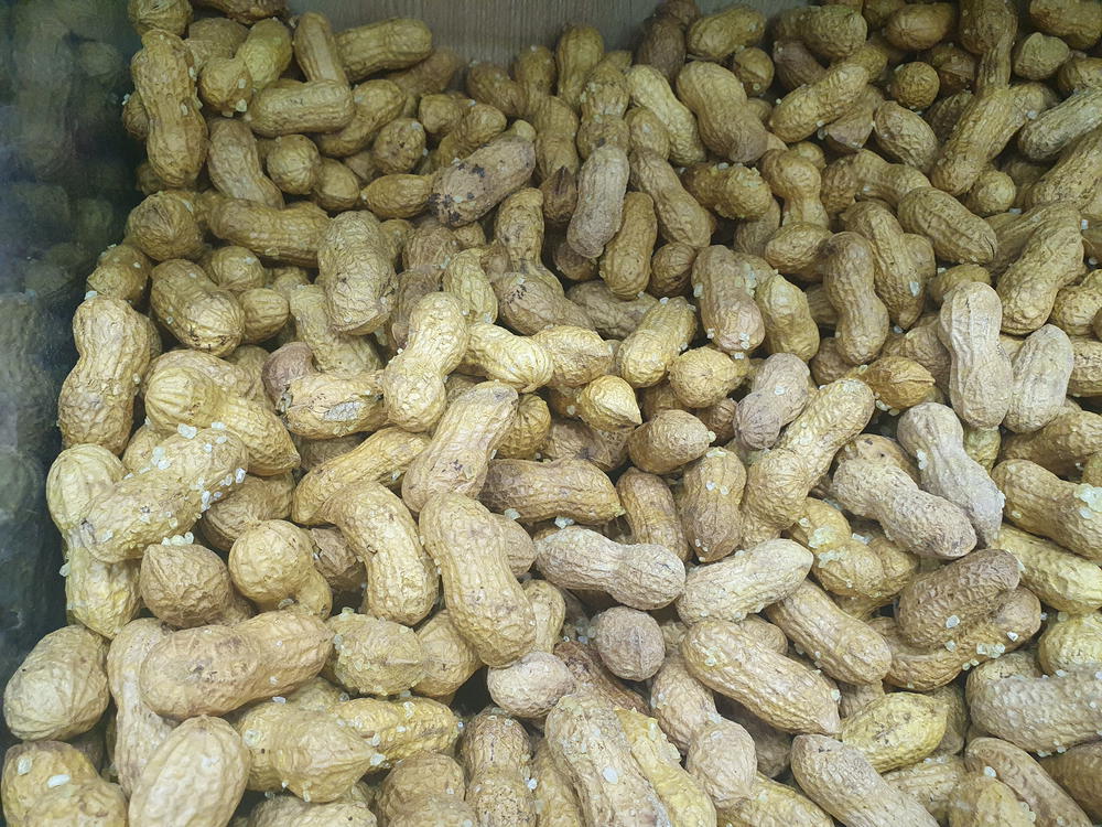 سوداني بقشرة ملح Preview Image