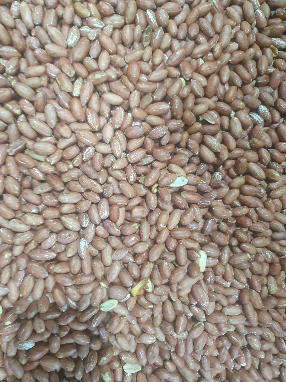 سوداني مقشر بدون ملح Preview Image