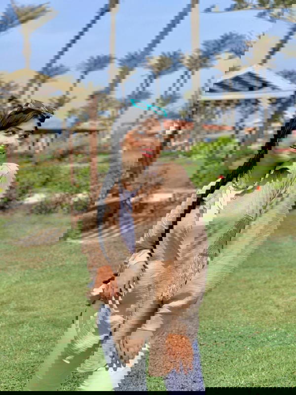 شميز بناتي Image 3 Preview