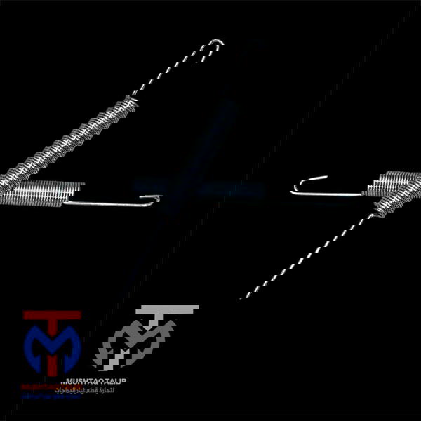 سبرنك دلفري  Image 1 Preview