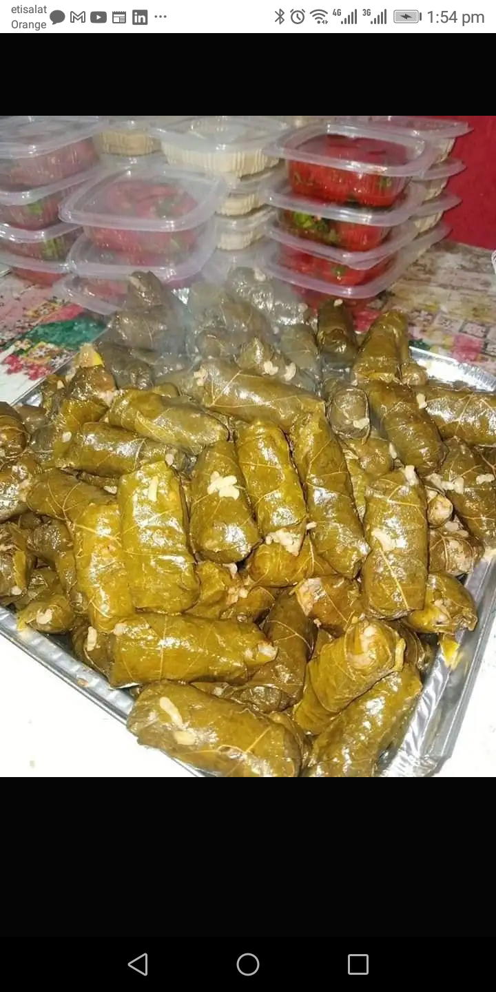 محشي ورق عنب Preview Image