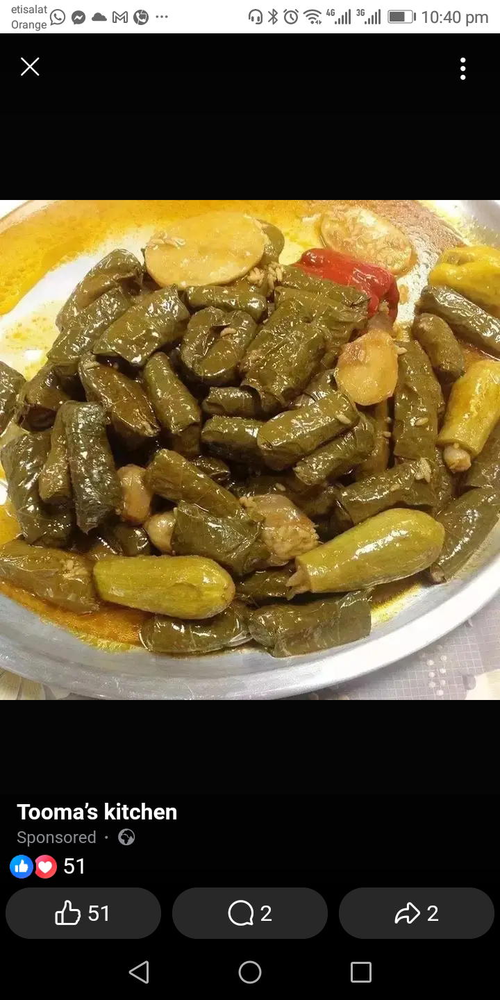 محشي ورق عنب Preview Image