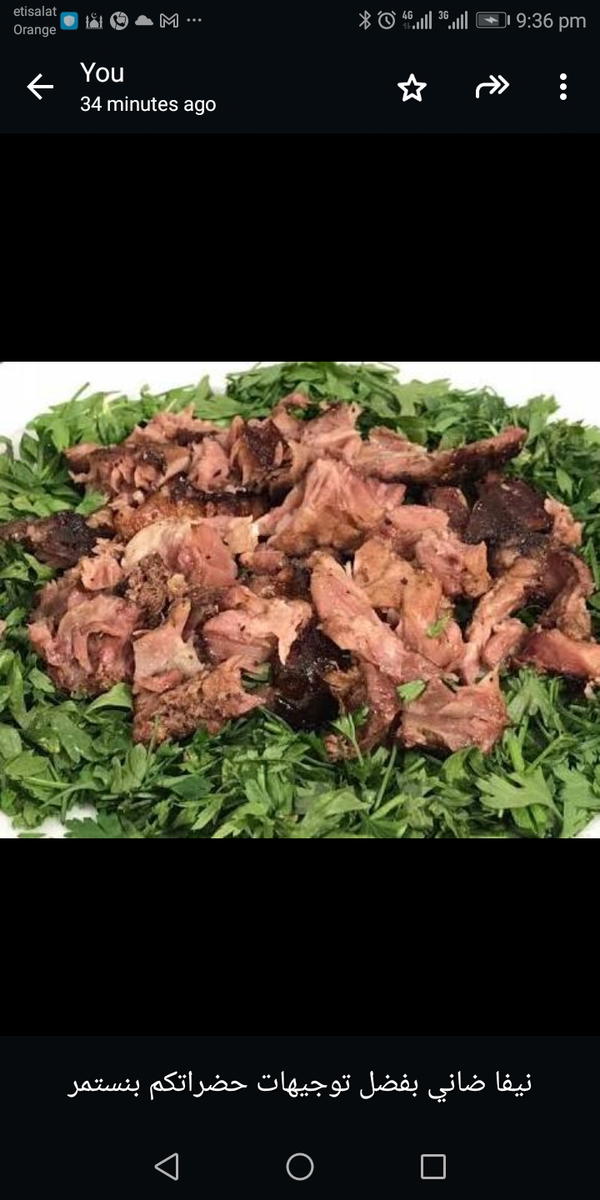 نيفا ضاني Image 1 Preview