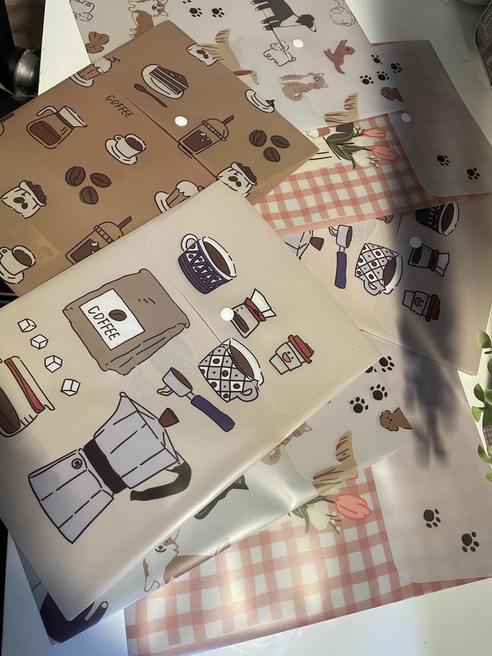 حافظة اوراق بكبسولة Preview Image