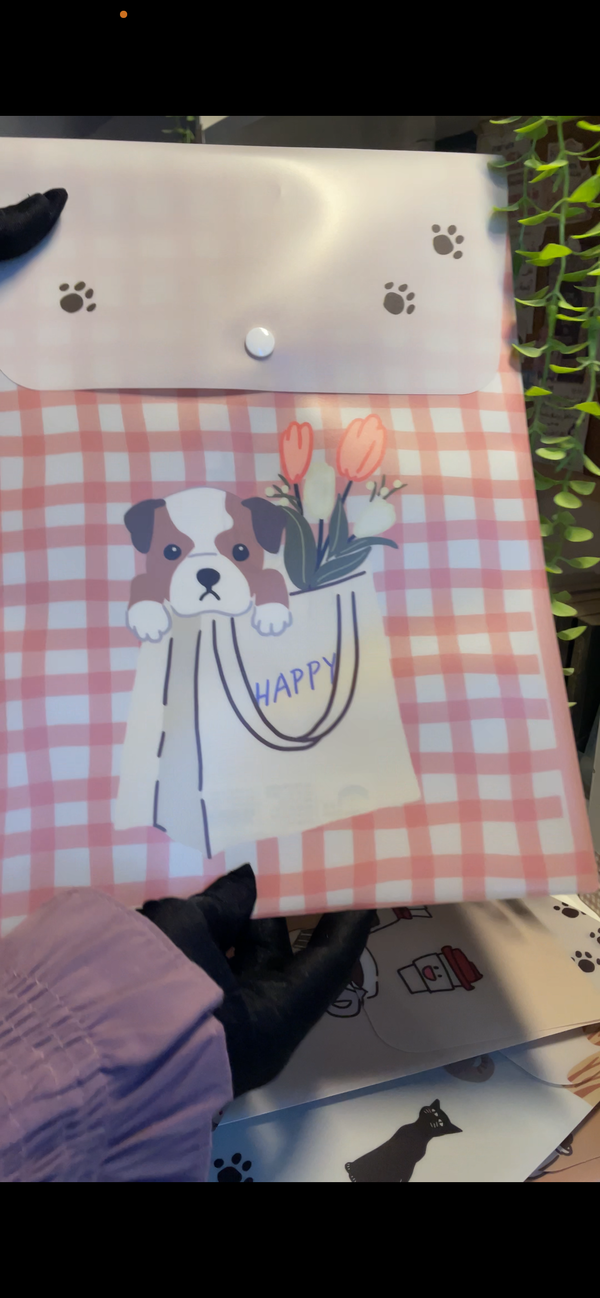 حافظة اوراق بكبسولة Image 4 Preview