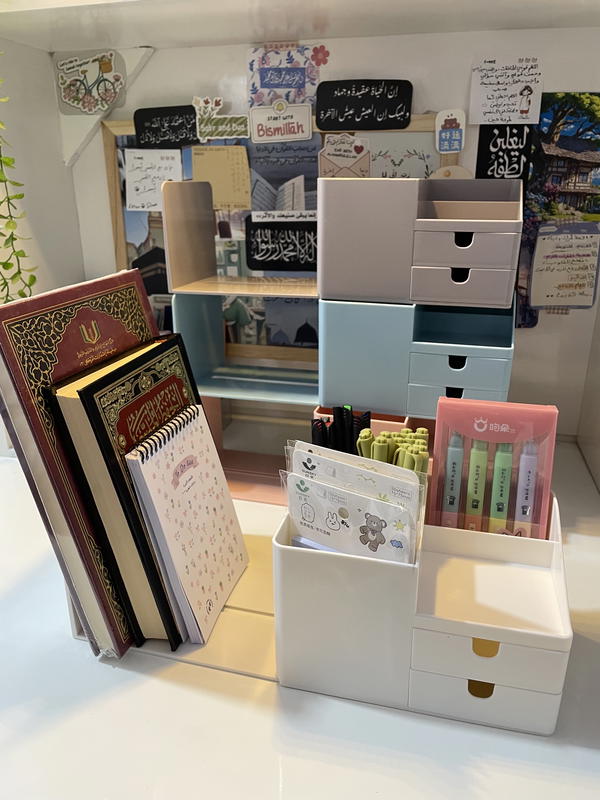 منظم اقلام وكتب مُميز🥹💕🪴📚 Image 2 Preview