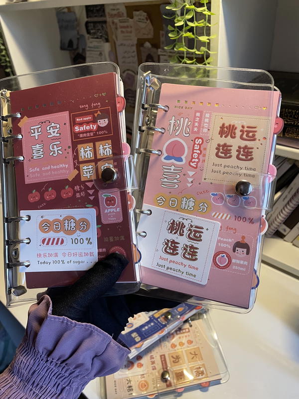 نوت بوك بايندرBinder 🧸حلقات لإعادة استخدامهاورق كريمي،بميدالية  (بعلبة ڤاكيوم)للحماية Image 3 Preview