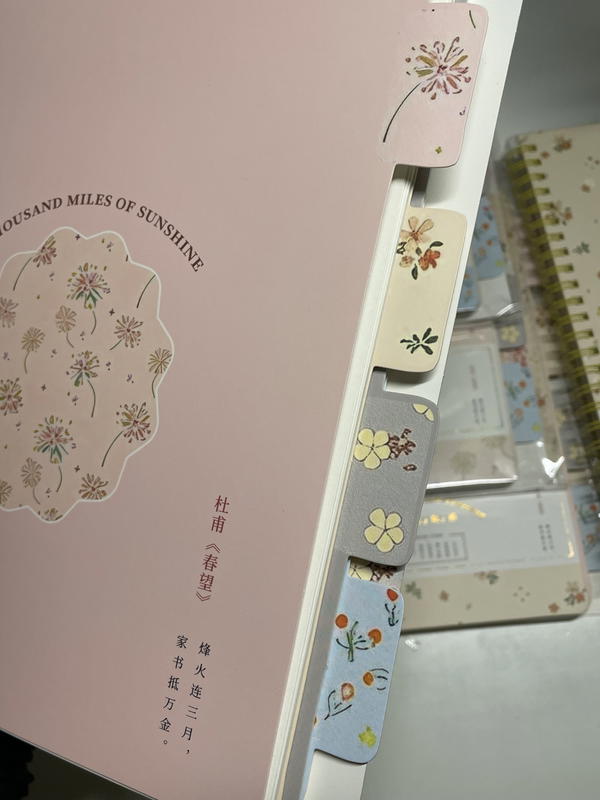 نوت بوك بنترست 💕A5 ورق كريمي سلك استيراد متقسمة 160صفحه80ورقة💕 Image 8 Preview