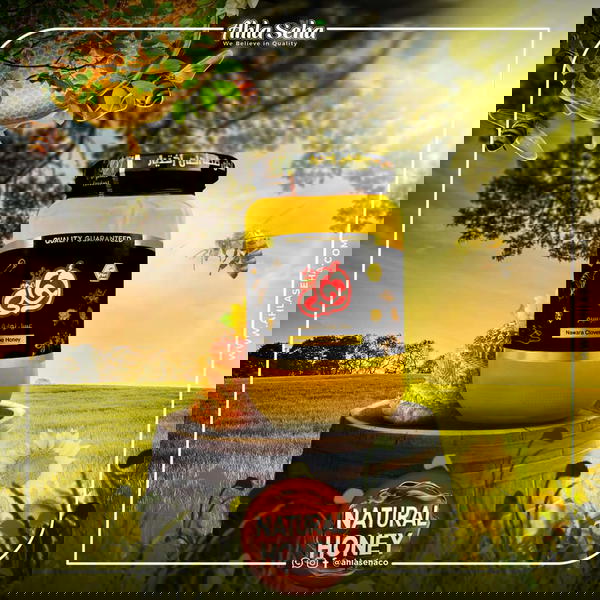 عسل نوارة البرسيم احلي 850 جرام Image 3 Preview