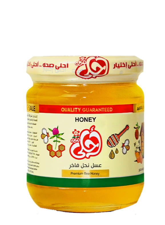 عسل زهور الربيع احلي 250 جرام Preview Image