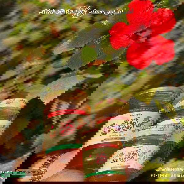 عسل زهور الربيع احلي 450 جرام Image 2 Preview