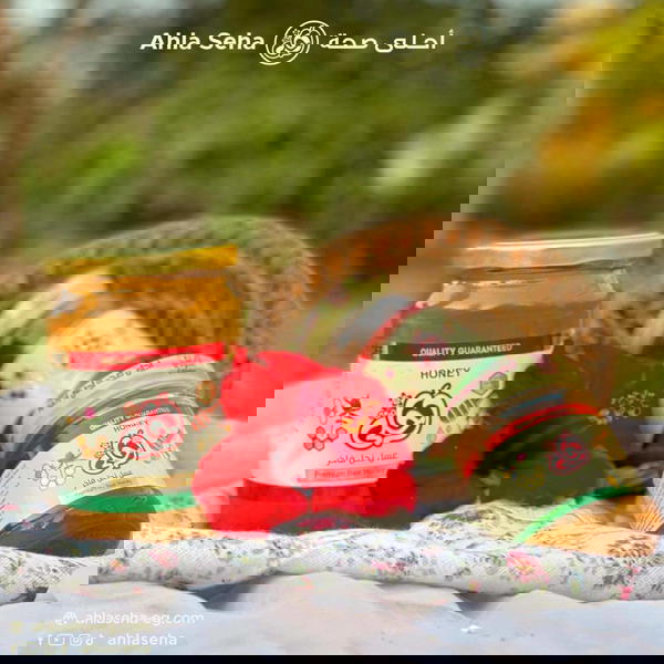 عسل زهور الربيع احلي 450 جرام Image 3 Preview