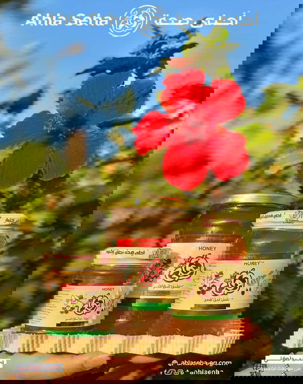 عسل زهور الربيع احلي 450 جرام Image 4 Preview