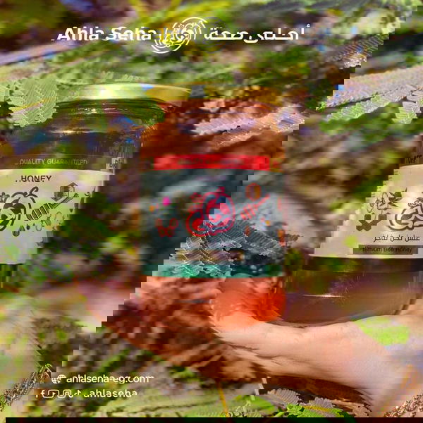 عسل زهور الربيع احلي 450 جرام Image 5 Preview