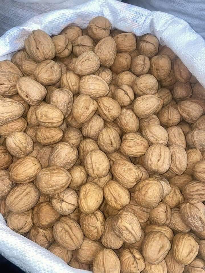 عين جمل حصي Preview Image