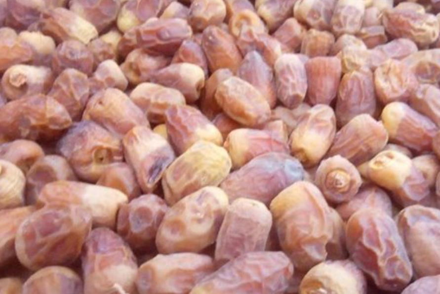 بلح الوادي Preview Image