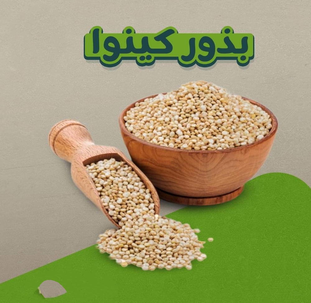 بذر كنواه Preview Image