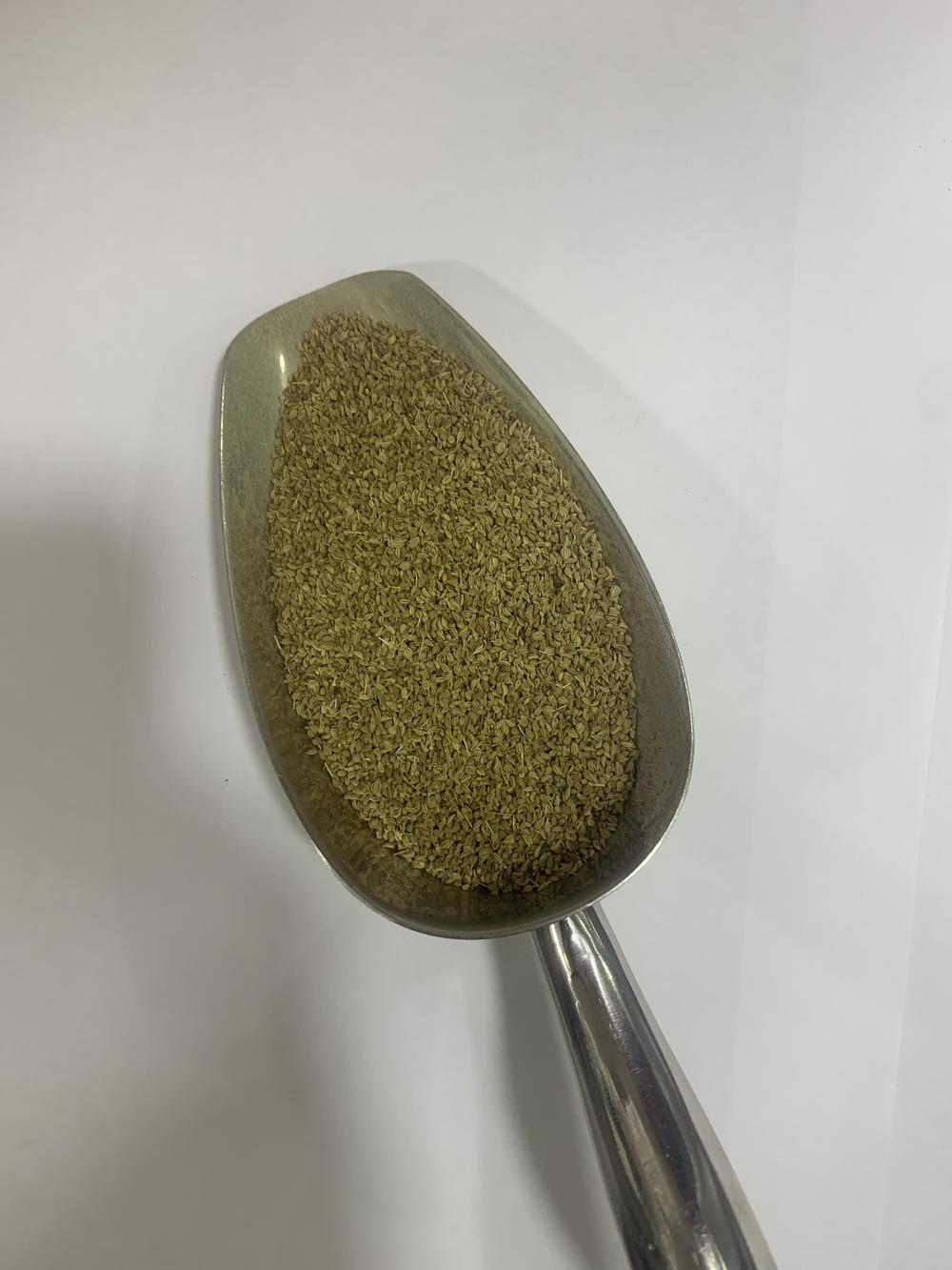 بذر كرفس Preview Image