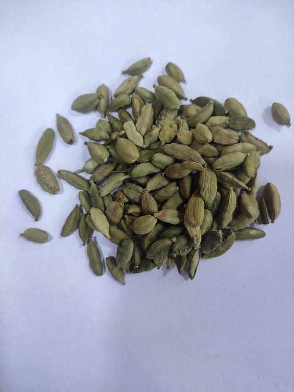 حبهان وسط Image 1 Preview