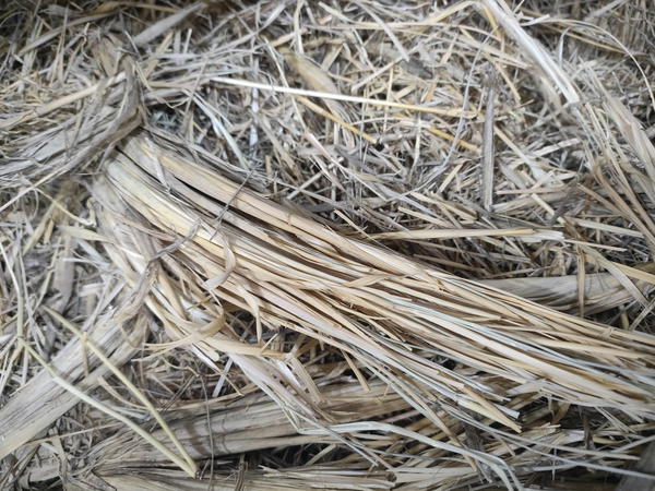 حلف بر حصى Image 2 Preview