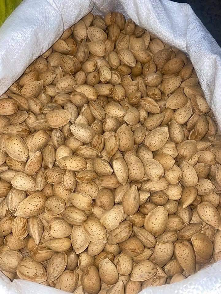 لوز حصي Preview Image