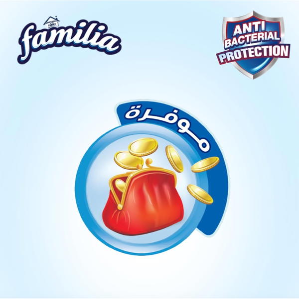 مناديل مطبخ فاميليا 2 رول موفرة Image 3 Preview