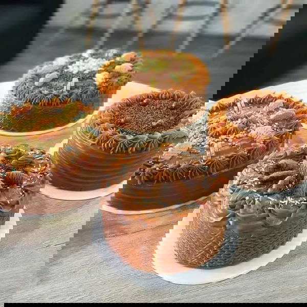 مربي تزيين حليب المتحدة جردل Image 2 Preview