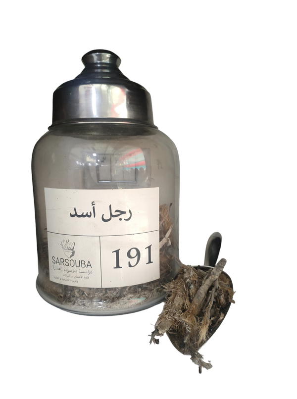 رجل اسد Image 1 Preview