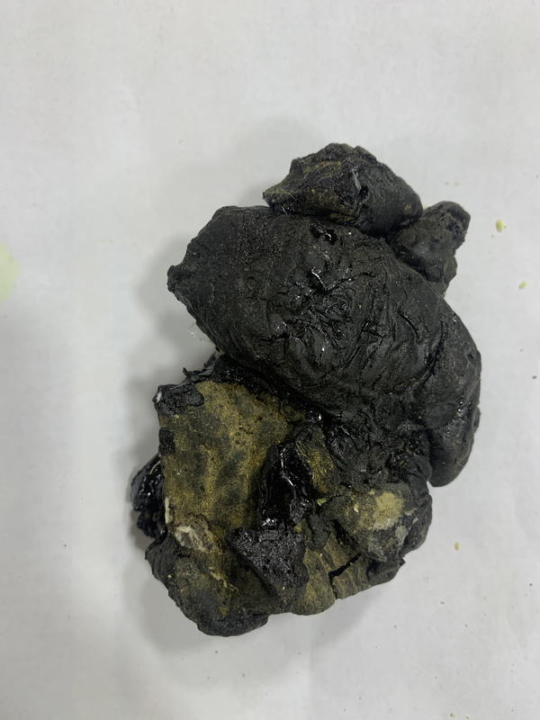 صبر Image 1 Preview