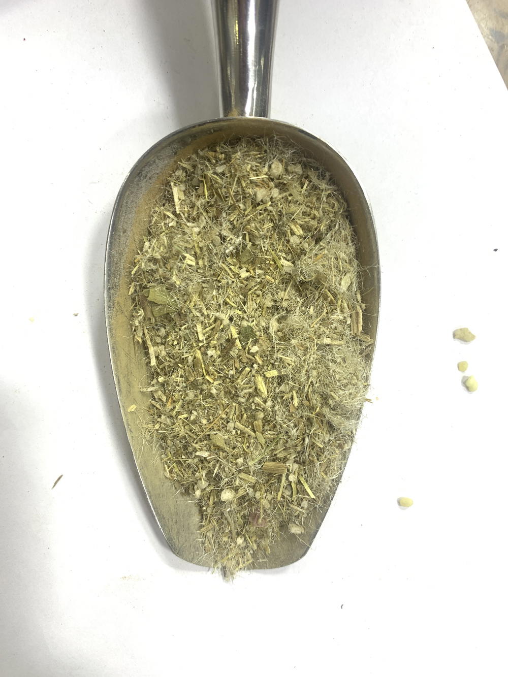 شوكة الجمل Preview Image
