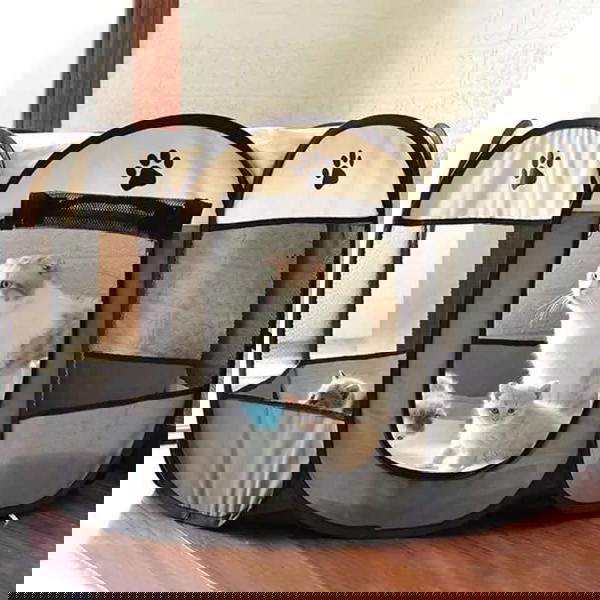بيت خيمه كبير Image 1 Preview