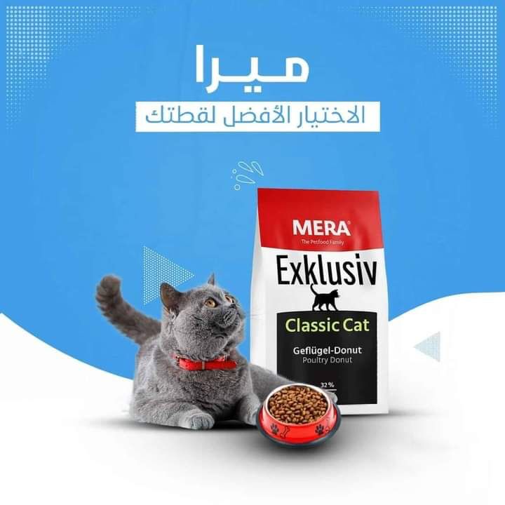 ميرا كات شيكارة  ( فراخ) وزن ١٠ كيلو غير متوفر Preview Image