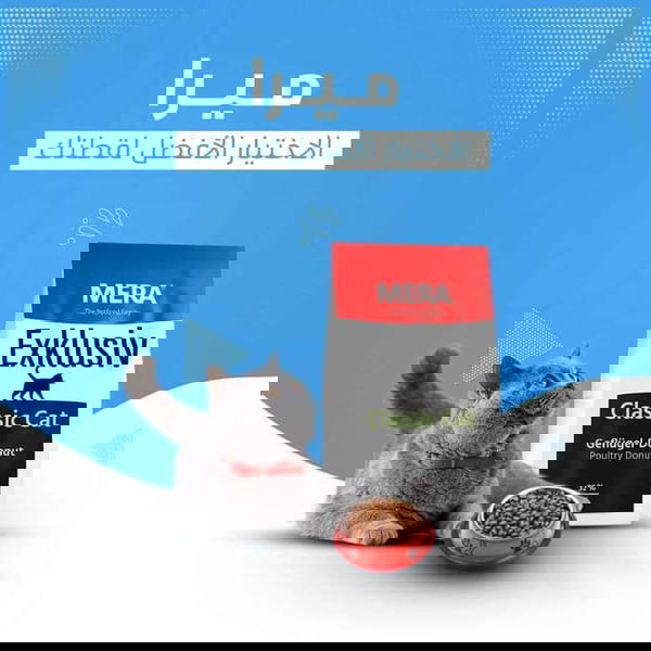 ميرا كات شيكارة  ( فراخ) وزن ١٠ كيلو غير متوفر Image 1 Preview