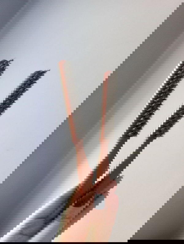 فرشاه البيبي هير  Image 1 Preview