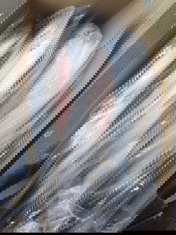 سالمون هول Image 2 Preview