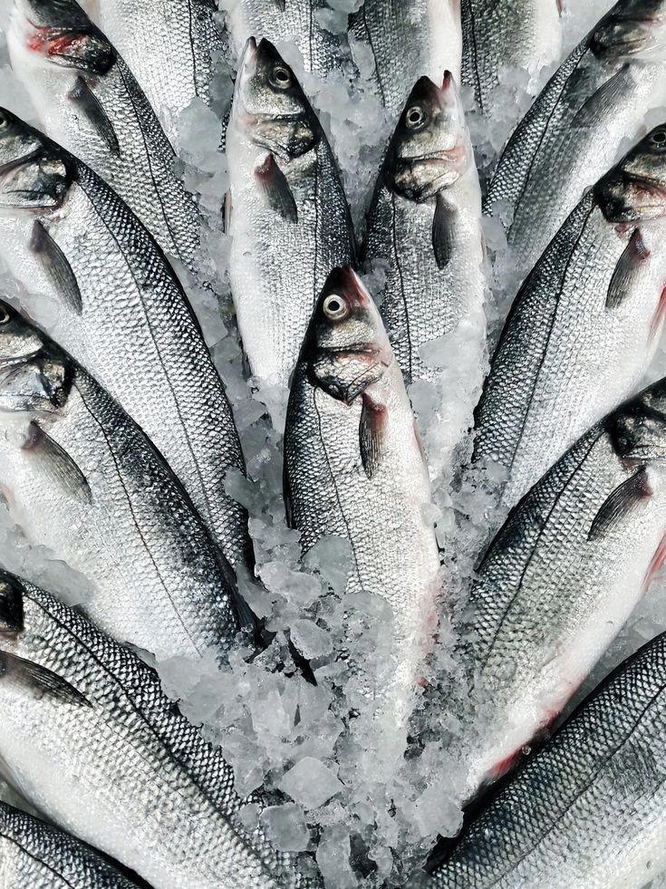 سمك قاروص Preview Image