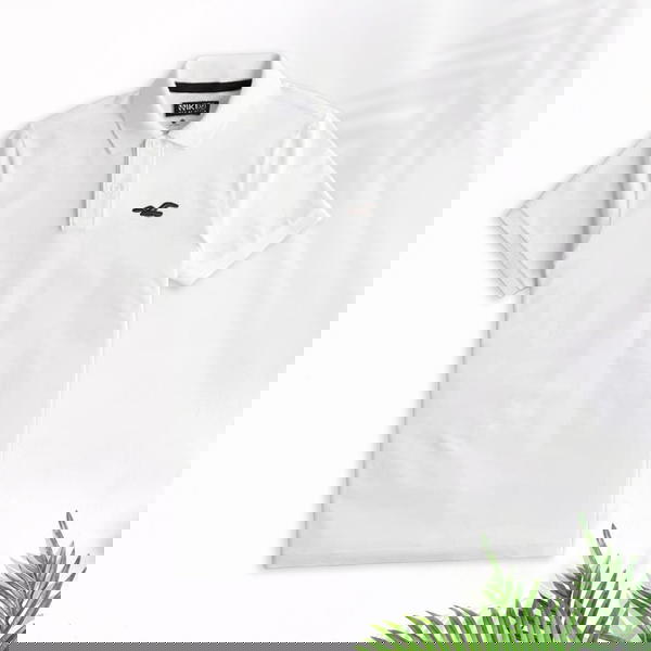 تيشيرت بولو هوليستر Image 6 Preview
