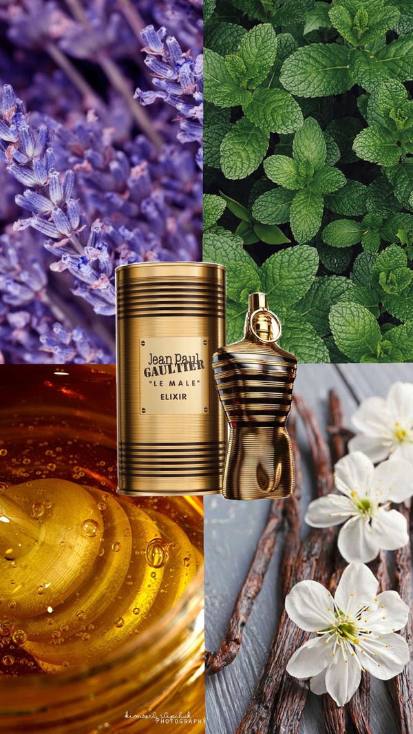 عطر JEAN PAUL LE MALE ELIXIR 2023 Image 2 Preview