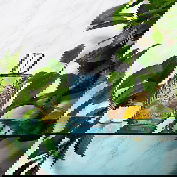 عطر Demarly sedly  Image 4 Preview