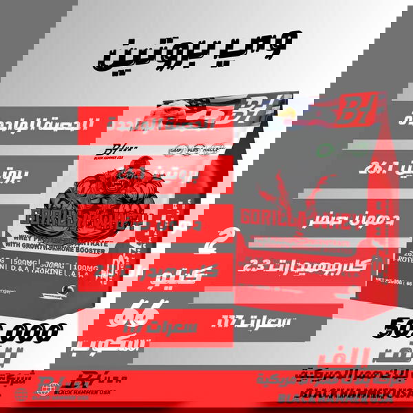 وي بروتين غوريلا  ٢كيلو وكالة بلاك همر الامريكية  Image 1 Preview