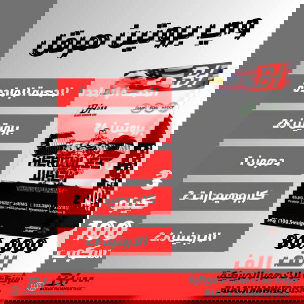 وي بروتين هرقل  ٣ كيلو  وكالة بلاك همر  Image 1 Preview
