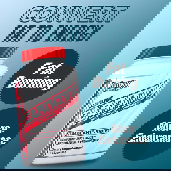 120 كبسولة  ال_ كارنتين يعمل على تحويل الدهون الى طاقه Image 1 Preview